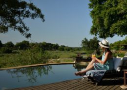 LION-SANDS-TINGA-LODGE