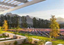Lavender Farm Guest House Cover