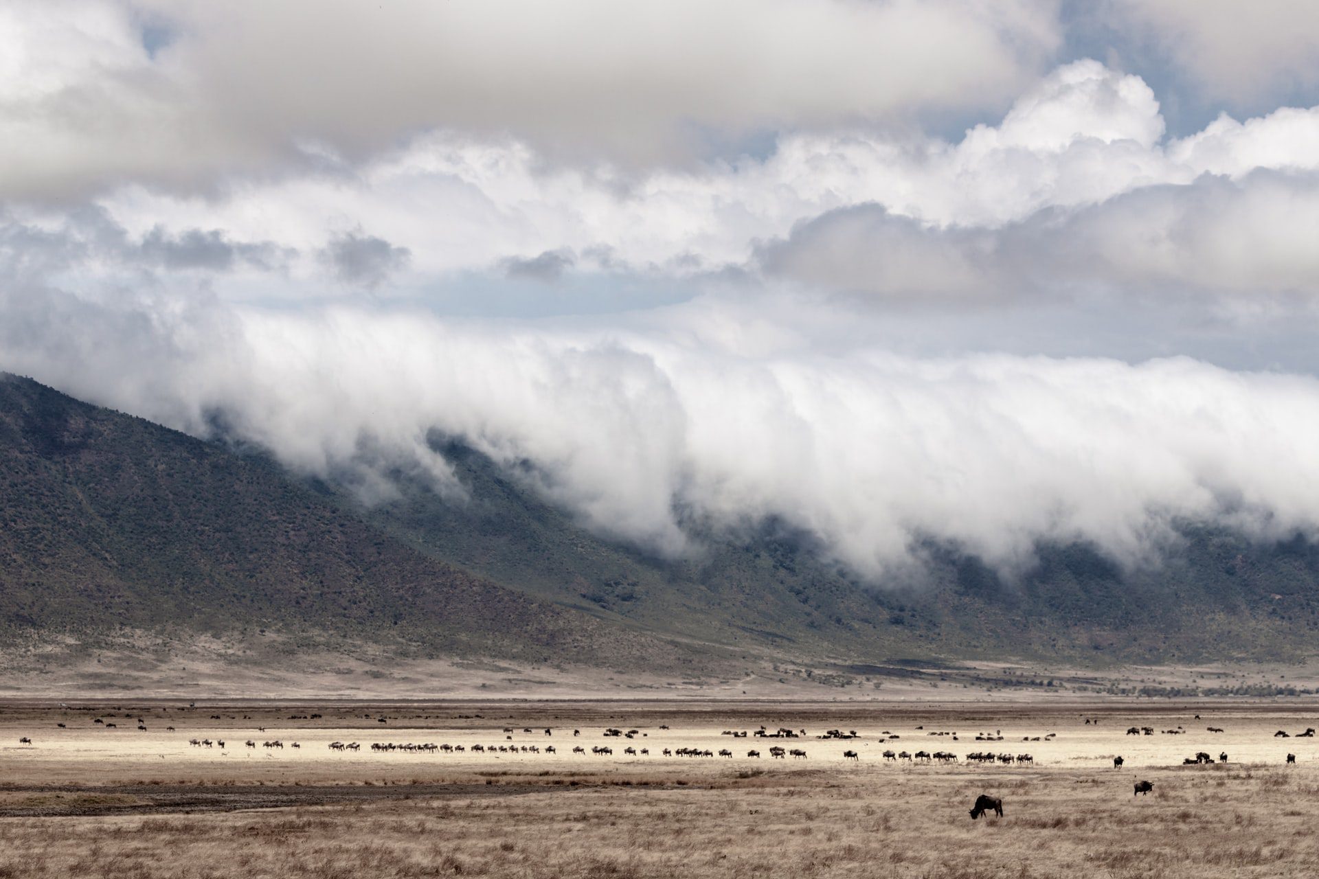 Top 10 Tourist Attractions in Tanzania - Ngorongoro Crater