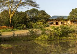 Mara House Maa Trust honey that can be bought - Main Pic
