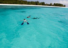 Matemwe-Retreat-Snorkeling-Secret-Africa