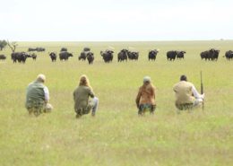 Ol-Pejeta-Bush-Camp Walking Safari