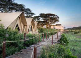 Walkways and Tent Exterior - Mara Nyika