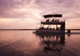Chobe Chilwero - Botswana Safari - Photographic Safari