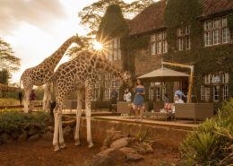 Main Exterior View - Giraffe Manor
