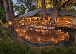 Duba Plains Camp - Duba Plains Main Area