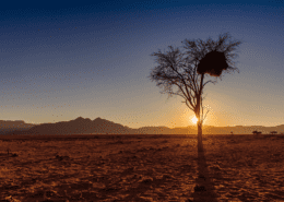 Kwessi Dunes - Landscape