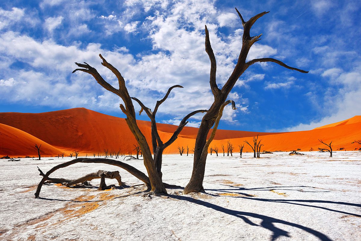 Famous Things To Do In Africa - Namib Desert