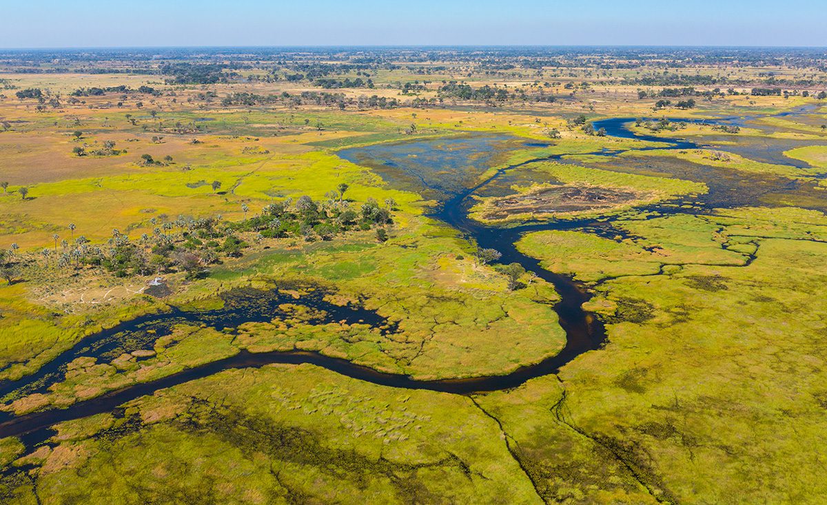 Famous Things To Do In Africa - Okavango Delta