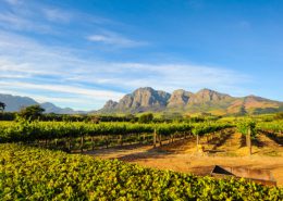 Cape Winelands Franschoek