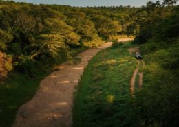 Manyoni Private Game Reserve Drive