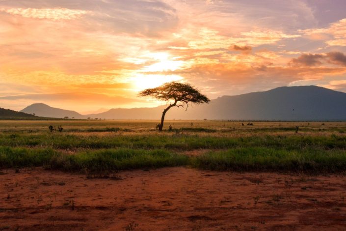 Safari Dry Season vs Green Season