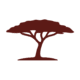 Curated African Safaris