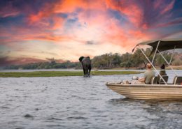 Chobe Botswana Boat Trip Sunset